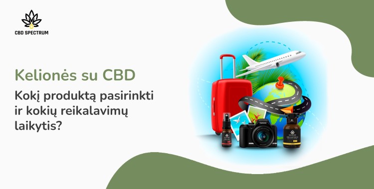 Kelionės su CBD – kokį produktą pasirinkti ir kokių reikalavimų laikytis?